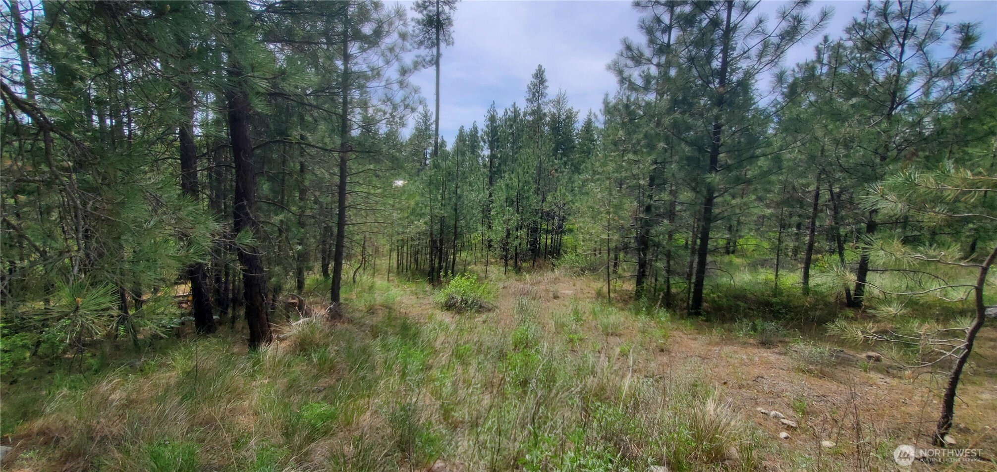 6 Lot Okanogan River Ranches Div 1 Property Photo 1