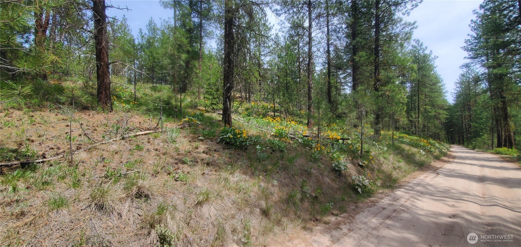 6 Lot Okanogan River Ranches Div 1 Property Photo 3