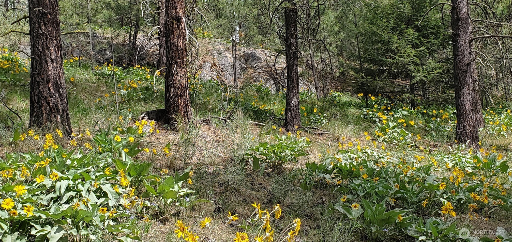 6 Lot Okanogan River Ranches Div 1 Property Photo 4
