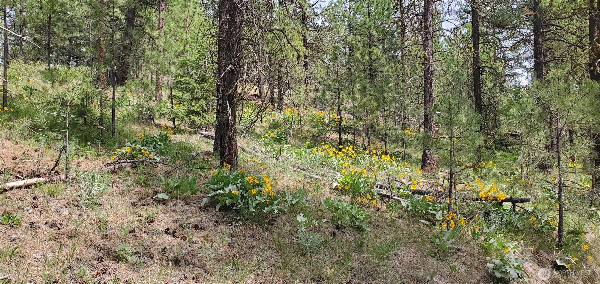 6 Lot Okanogan River Ranches Div 1 Property Photo 5