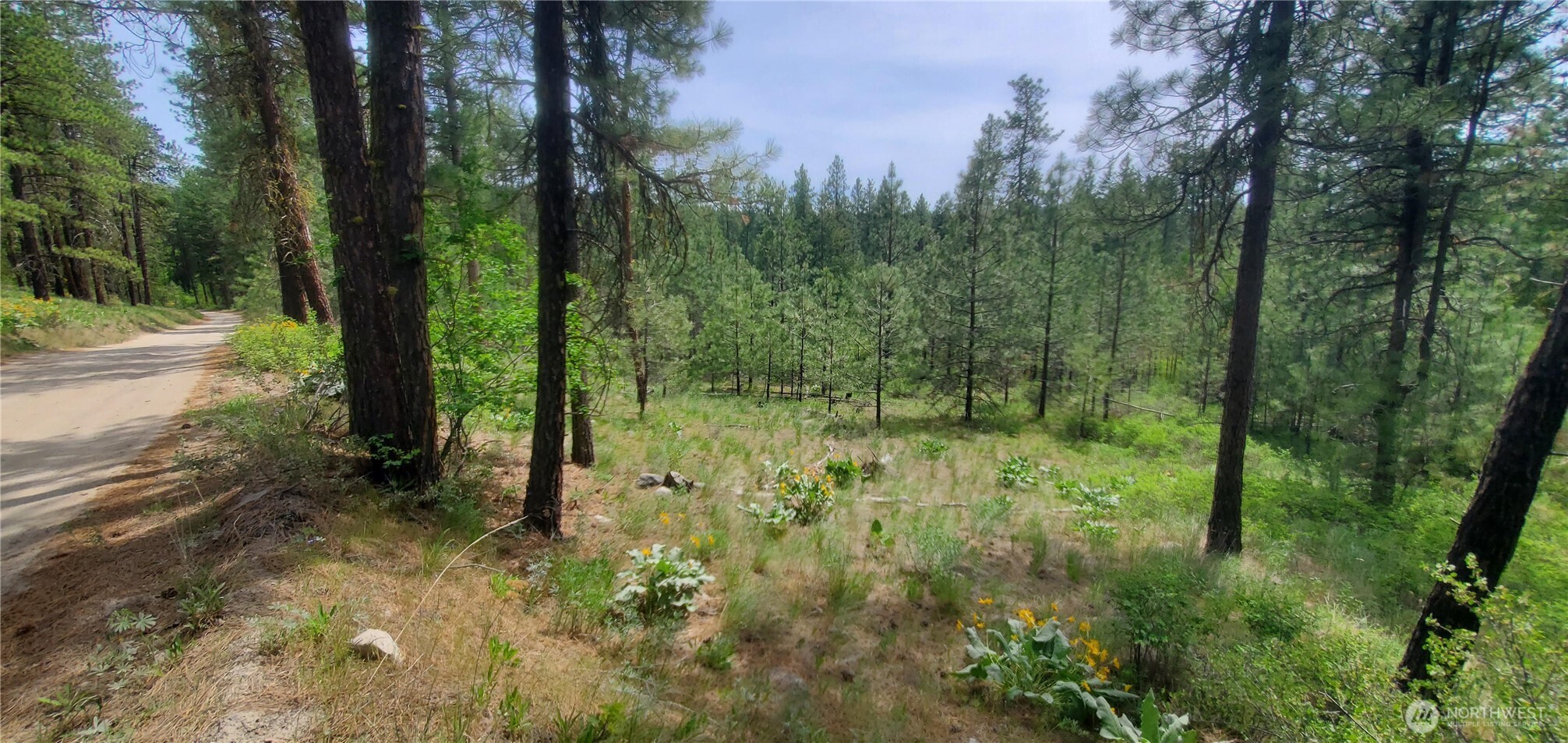 6 Lot Okanogan River Ranches Div 1 Property Photo 7
