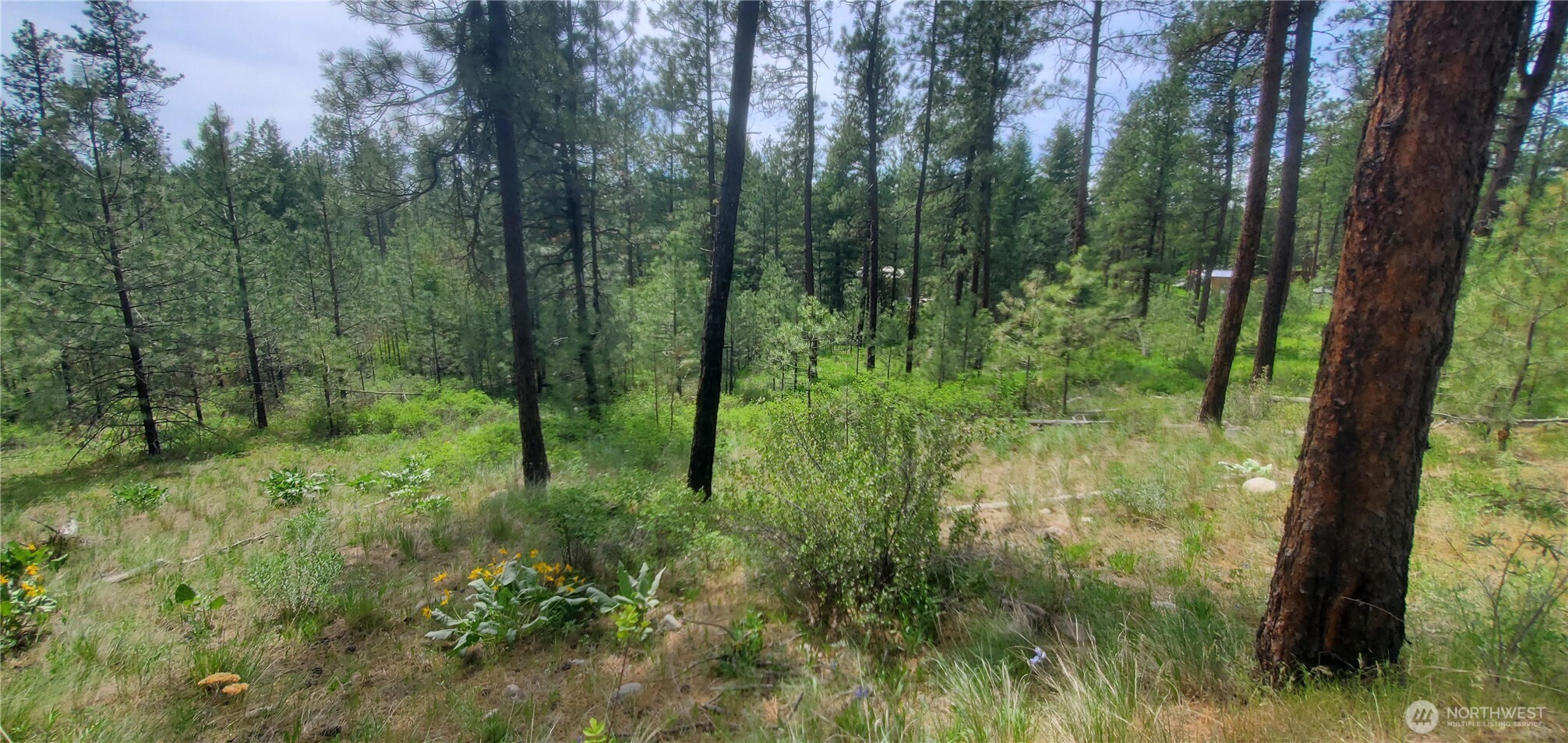6 Lot Okanogan River Ranches Div 1 Property Photo 8