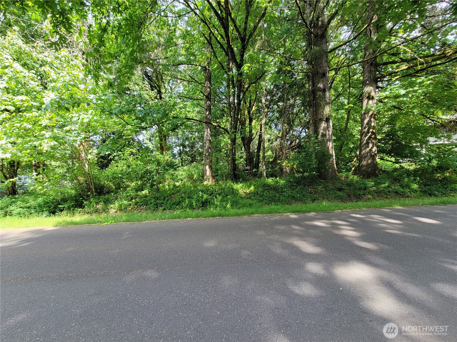 12404 Champion Drive Property Photo 3