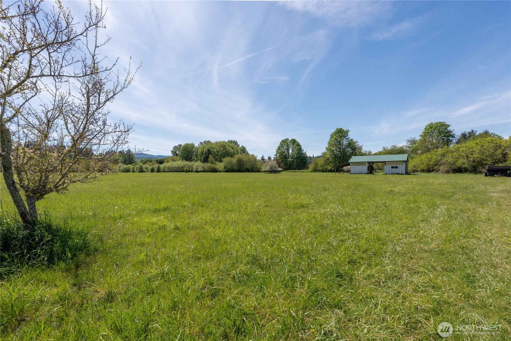 0 Alder Street Property Photo 6