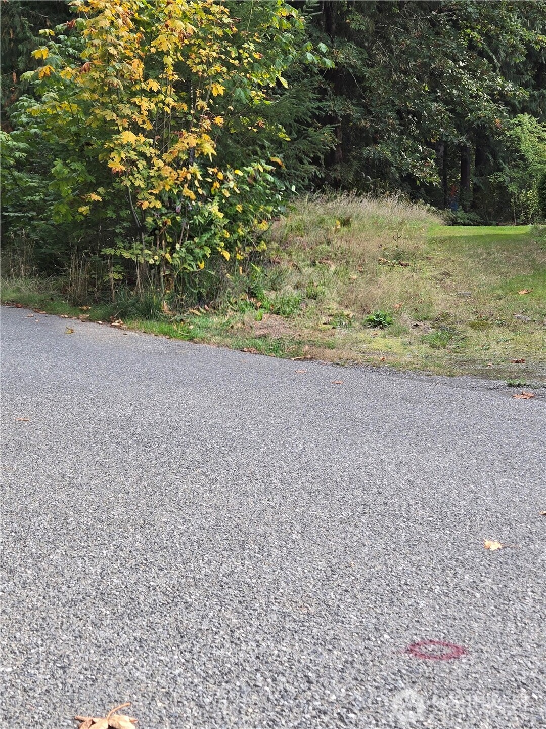 0 Lot Bb Se 159th Street Property Photo 4