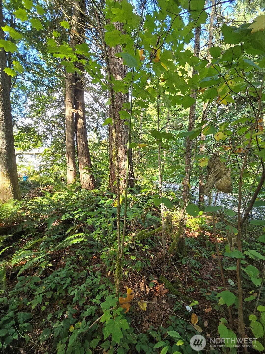 0 Lot Bb Se 159th Street Property Photo 6