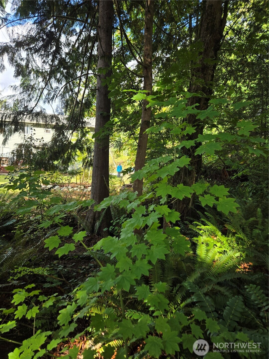 0 Lot Bb Se 159th Street Property Photo 7