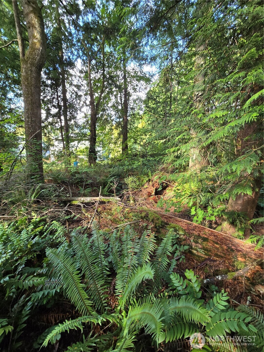 0 Lot Bb Se 159th Street Property Photo 8
