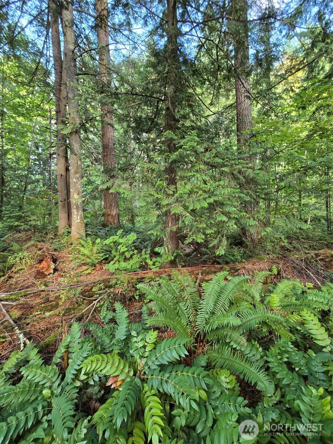 0 Lot Bb Se 159th Street Property Photo 9