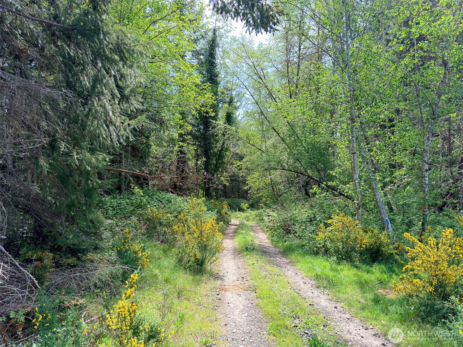 2 Xxx Teal Lake Road Property Photo 6