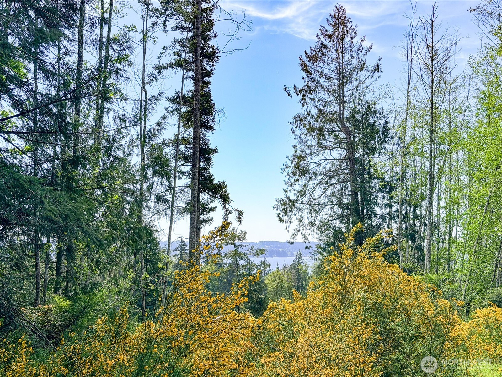 2 Xxx Teal Lake Road Property Photo 7