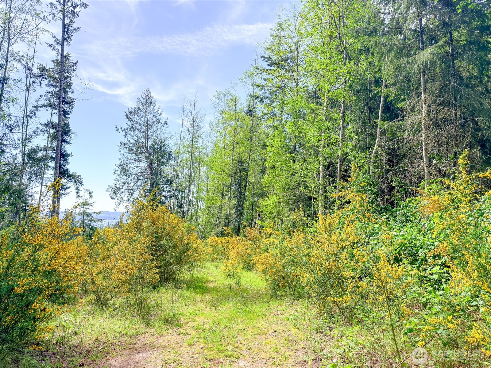2 Xxx Teal Lake Road Property Photo 9