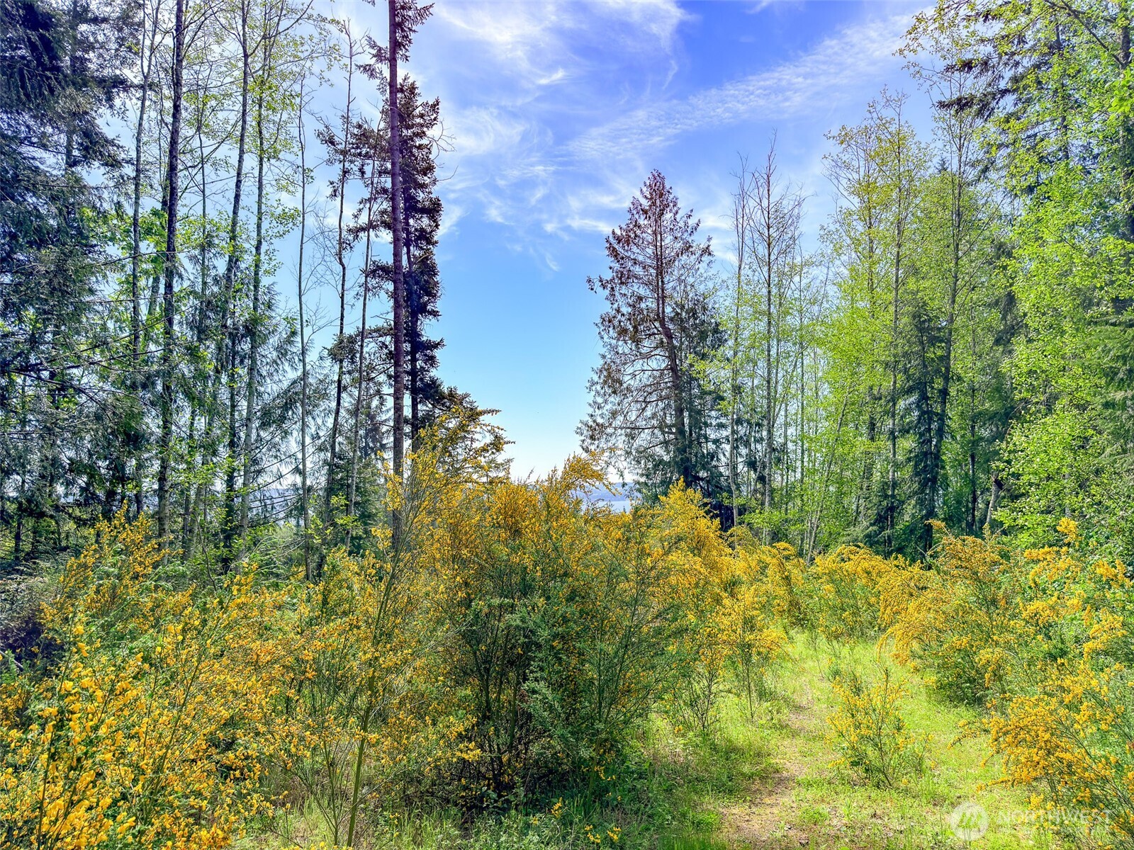 2 Xxx Teal Lake Road Property Photo 10