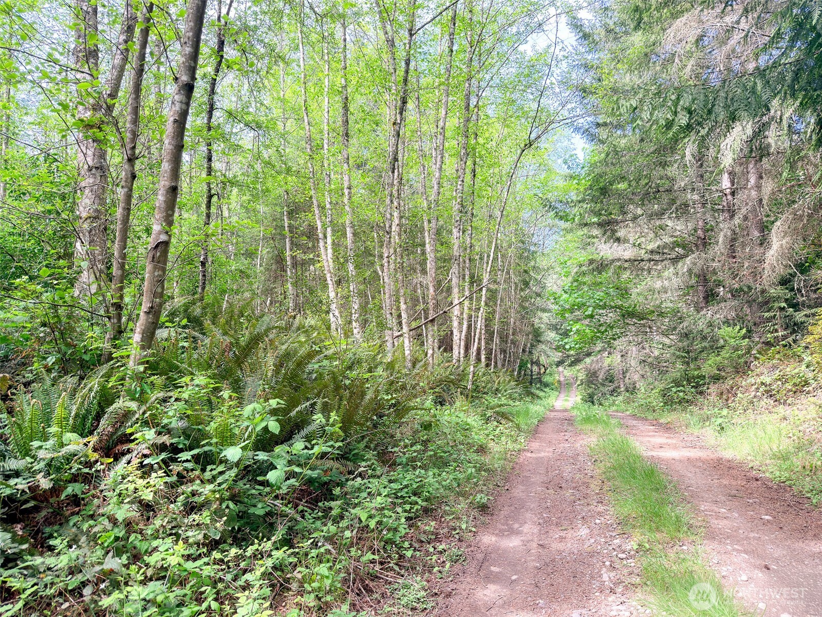 2 Xxx Teal Lake Road Property Photo 12