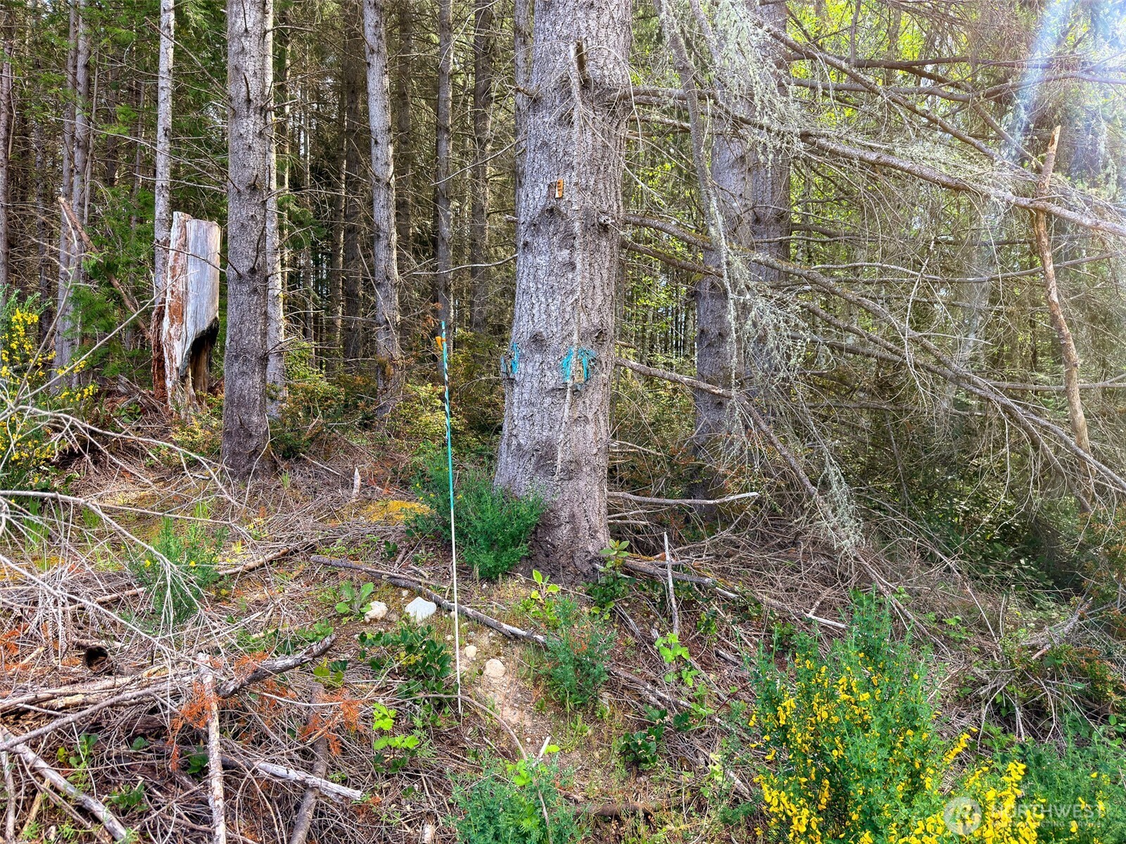 2 Xxx Teal Lake Road Property Photo 13