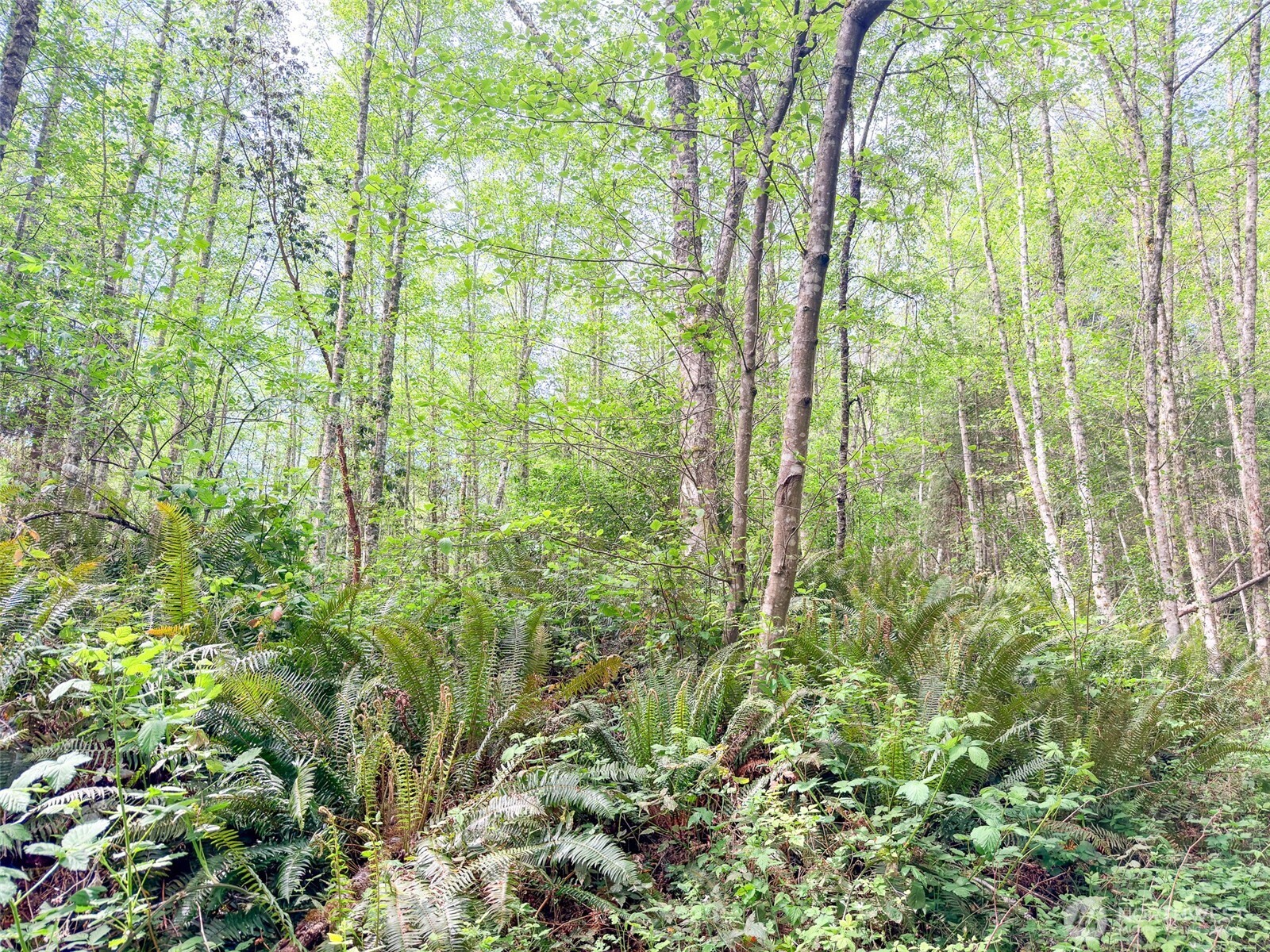 2 Xxx Teal Lake Road Property Photo 15