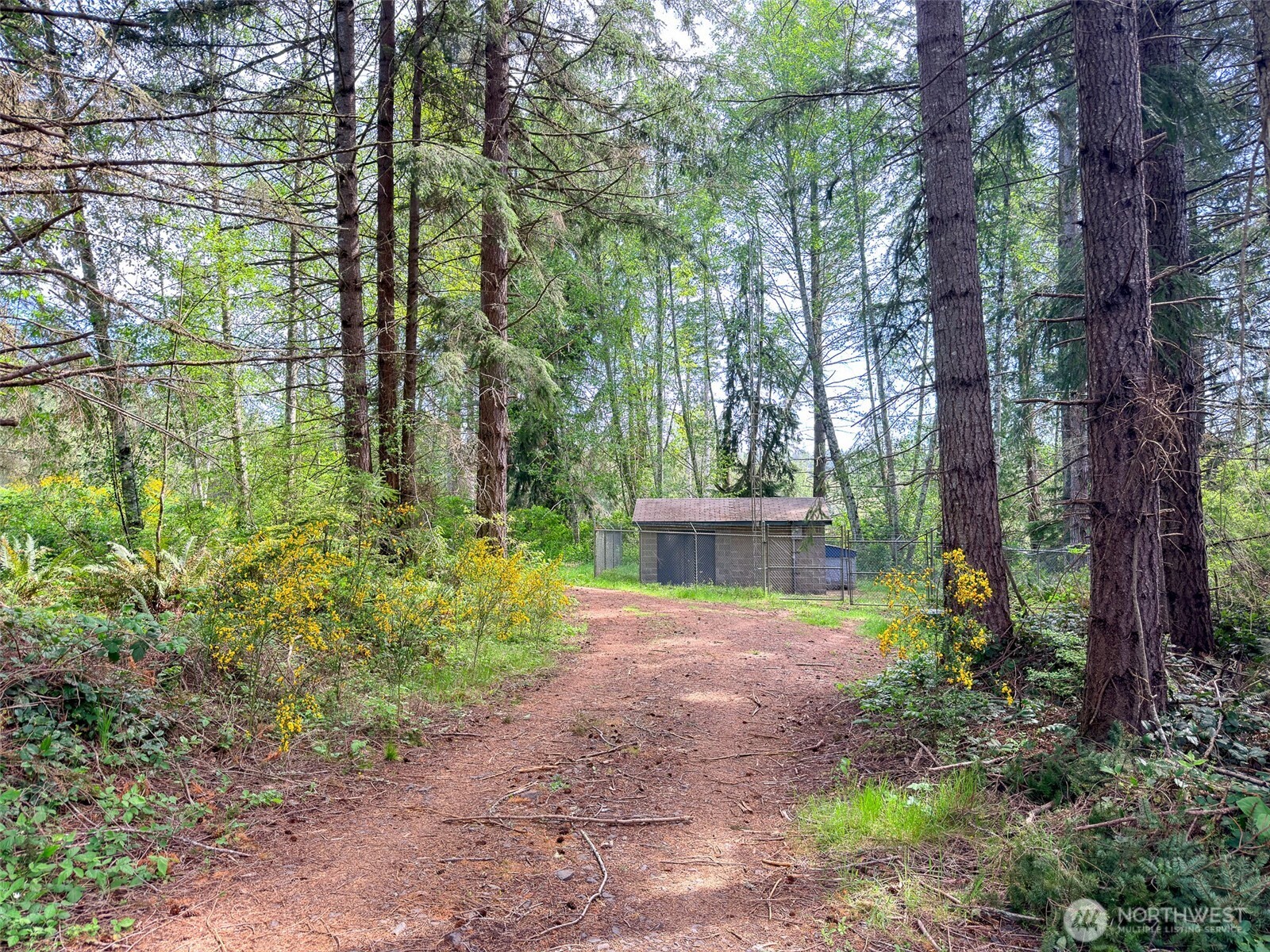 2 Xxx Teal Lake Road Property Photo 17