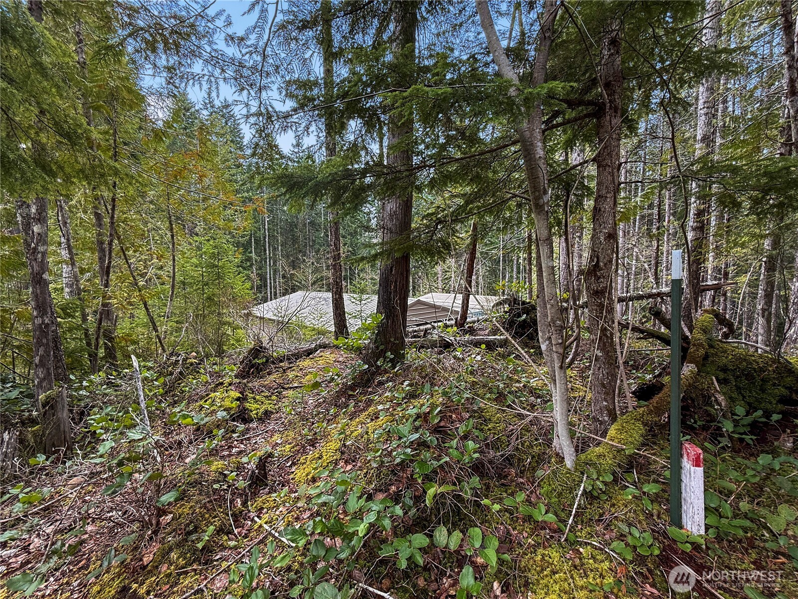 61 N Dow Court Property Photo 17