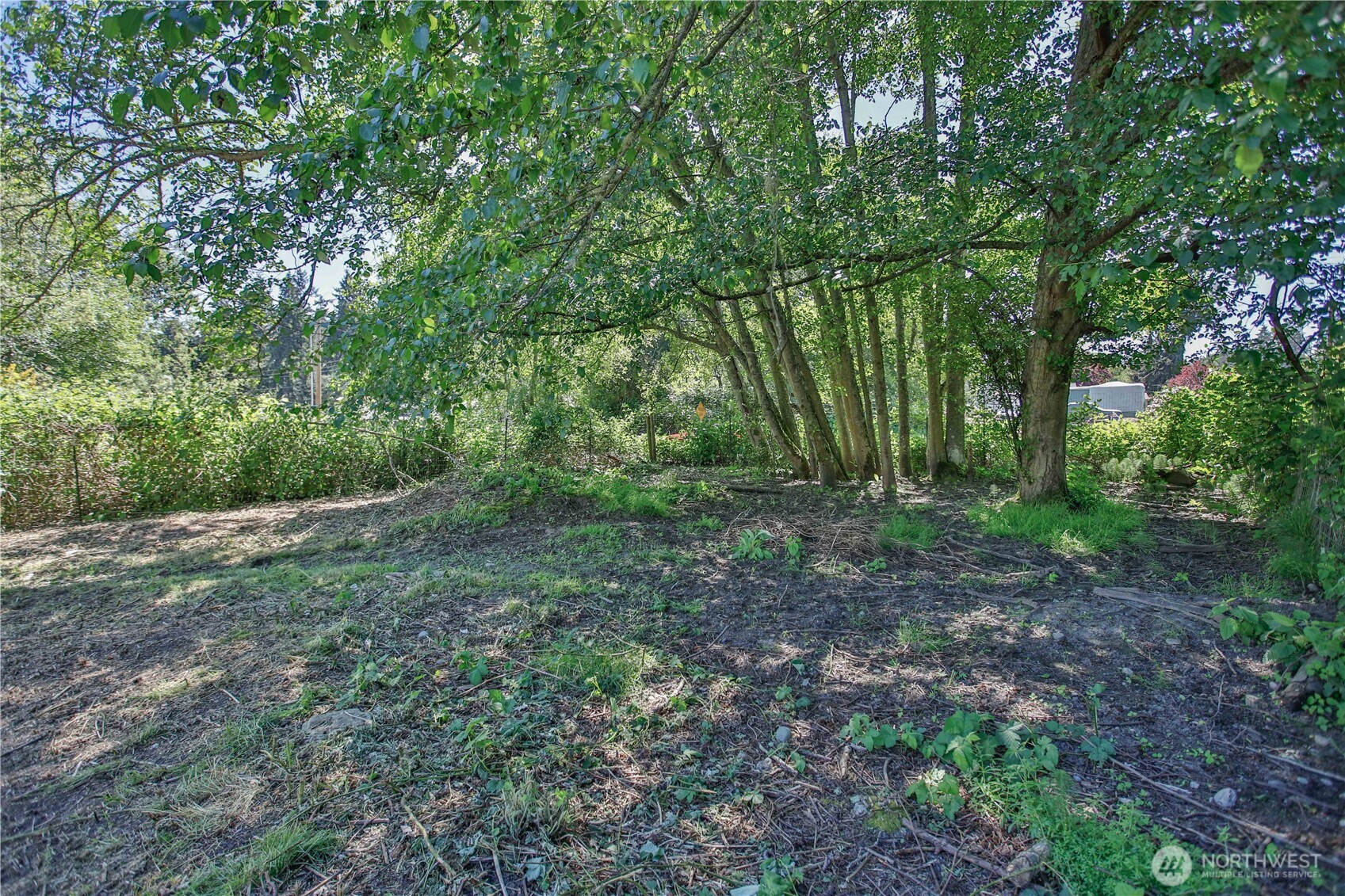 4717 Hansen Drive Property Photo 13