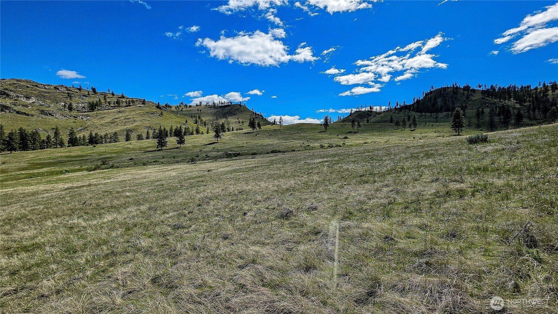 1 Washington Creek Road Property Photo 4