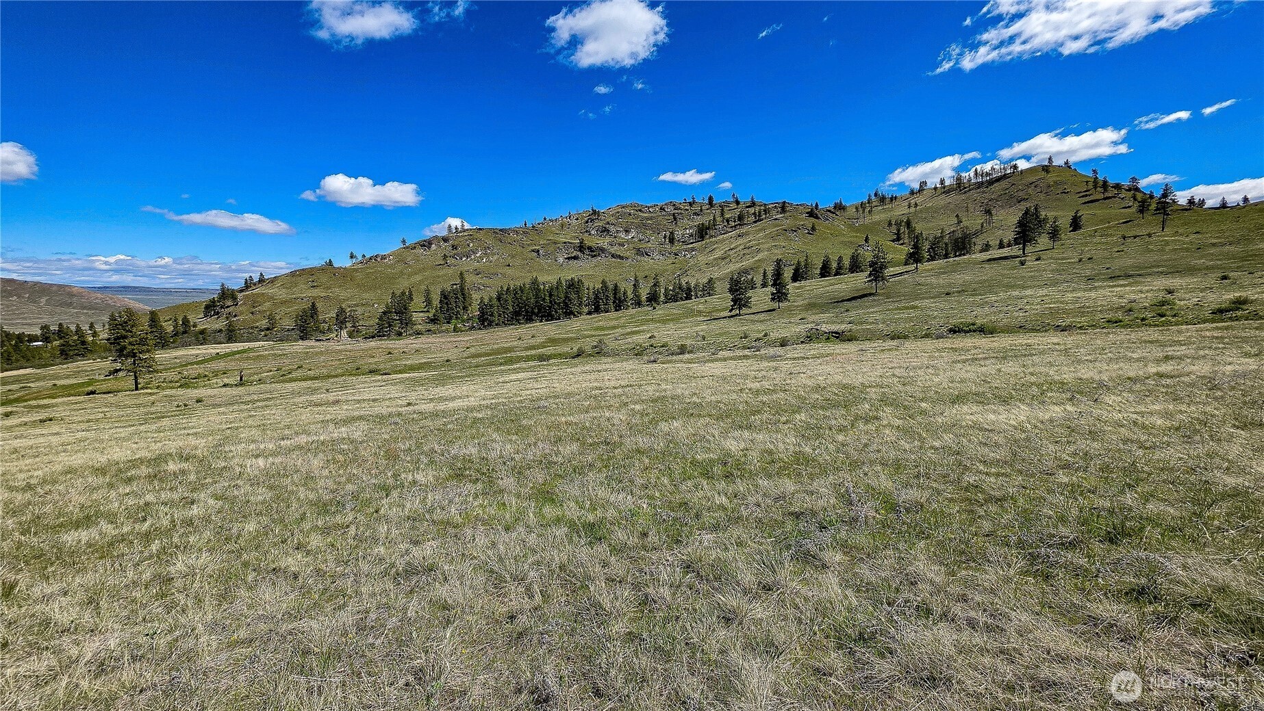1 Washington Creek Road Property Photo 5