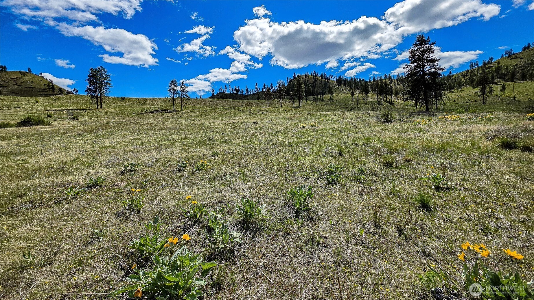 1 Washington Creek Road Property Photo 8
