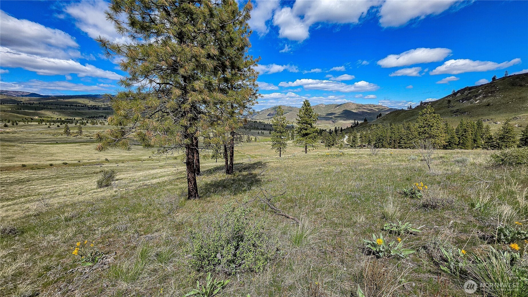 1 Washington Creek Road Property Photo 12