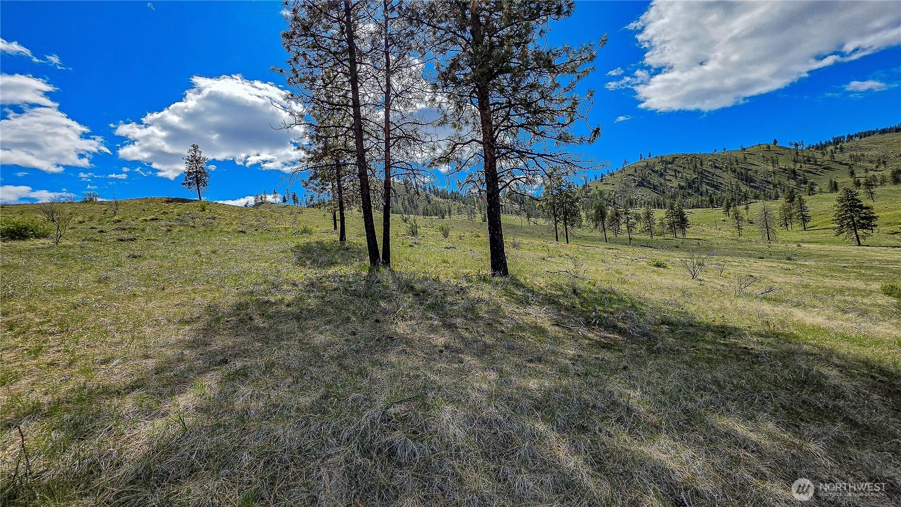 1 Washington Creek Road Property Photo 13
