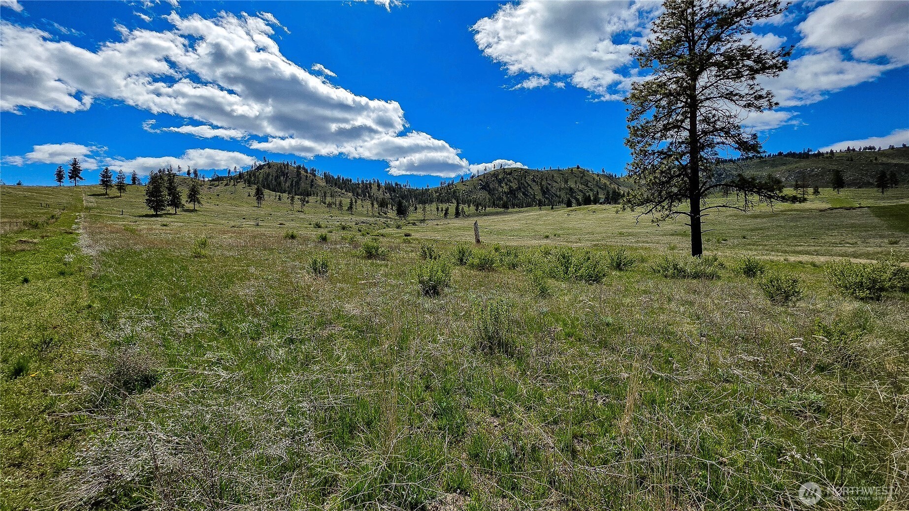 1 Washington Creek Road Property Photo 17