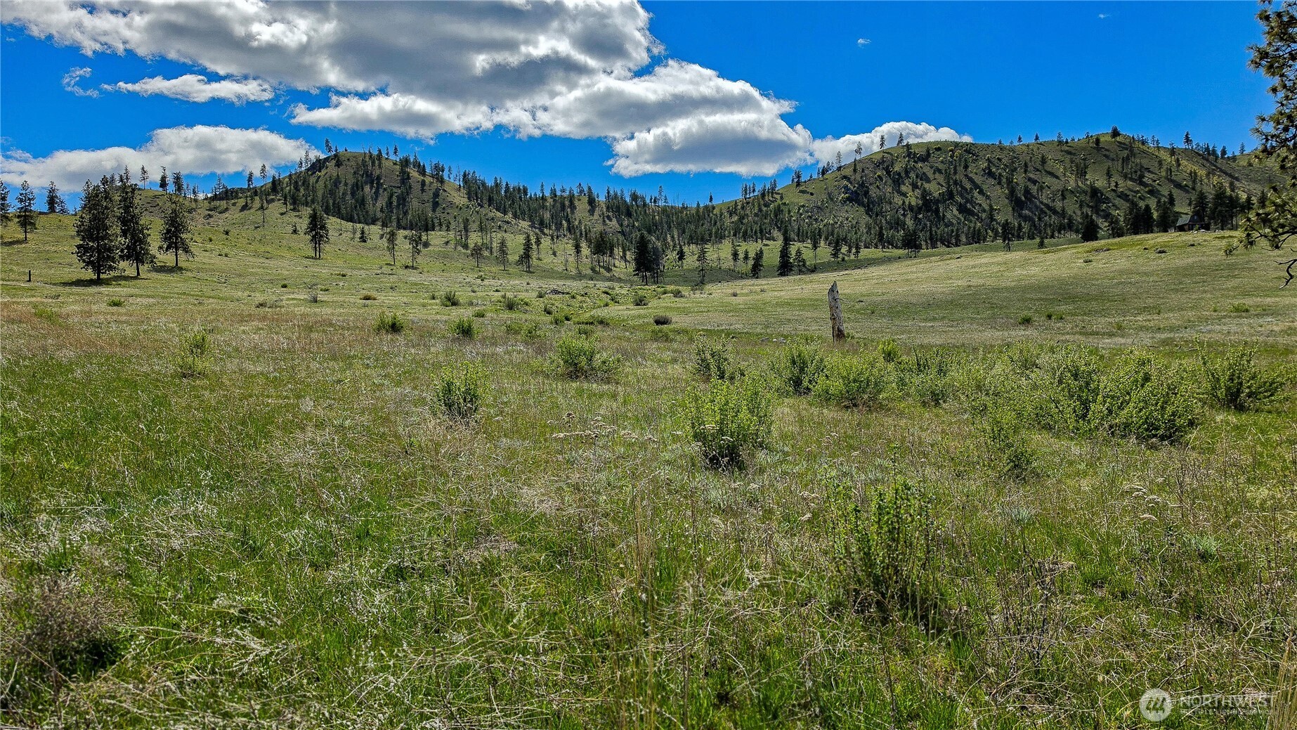 1 Washington Creek Road Property Photo 19