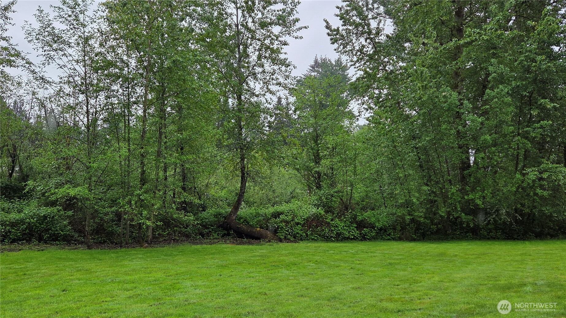 10110 60th Street Property Photo 9