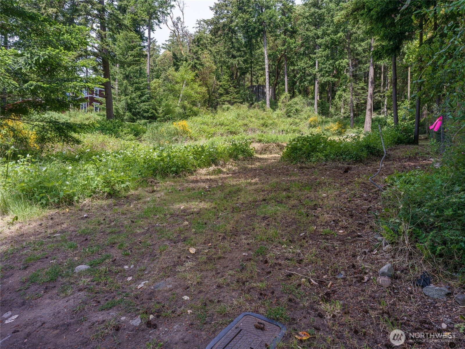 147 Geer Lane Property Photo 20