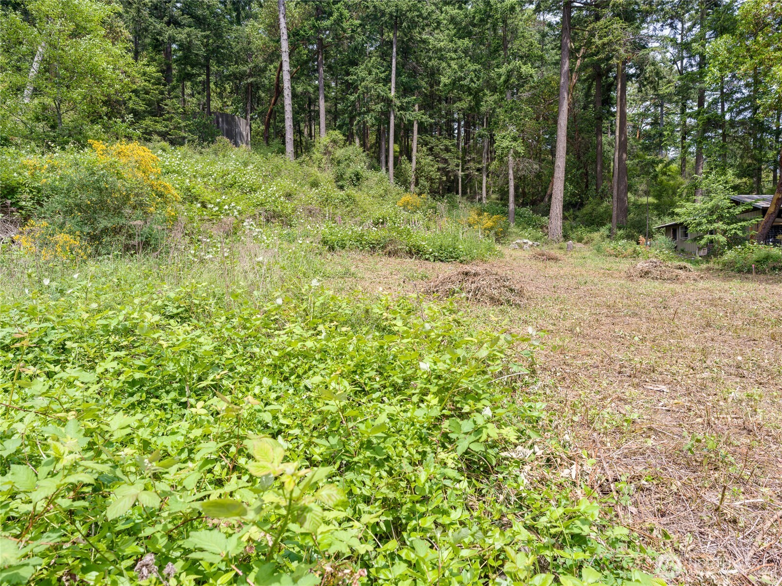 147 Geer Lane Property Photo 25