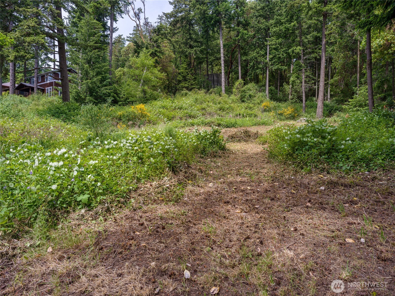 147 Geer Lane Property Photo 26