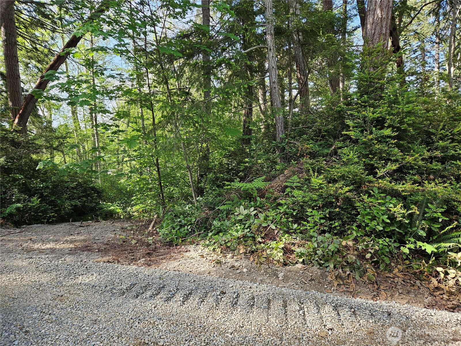 0 Nka Fox Road Property Photo 1