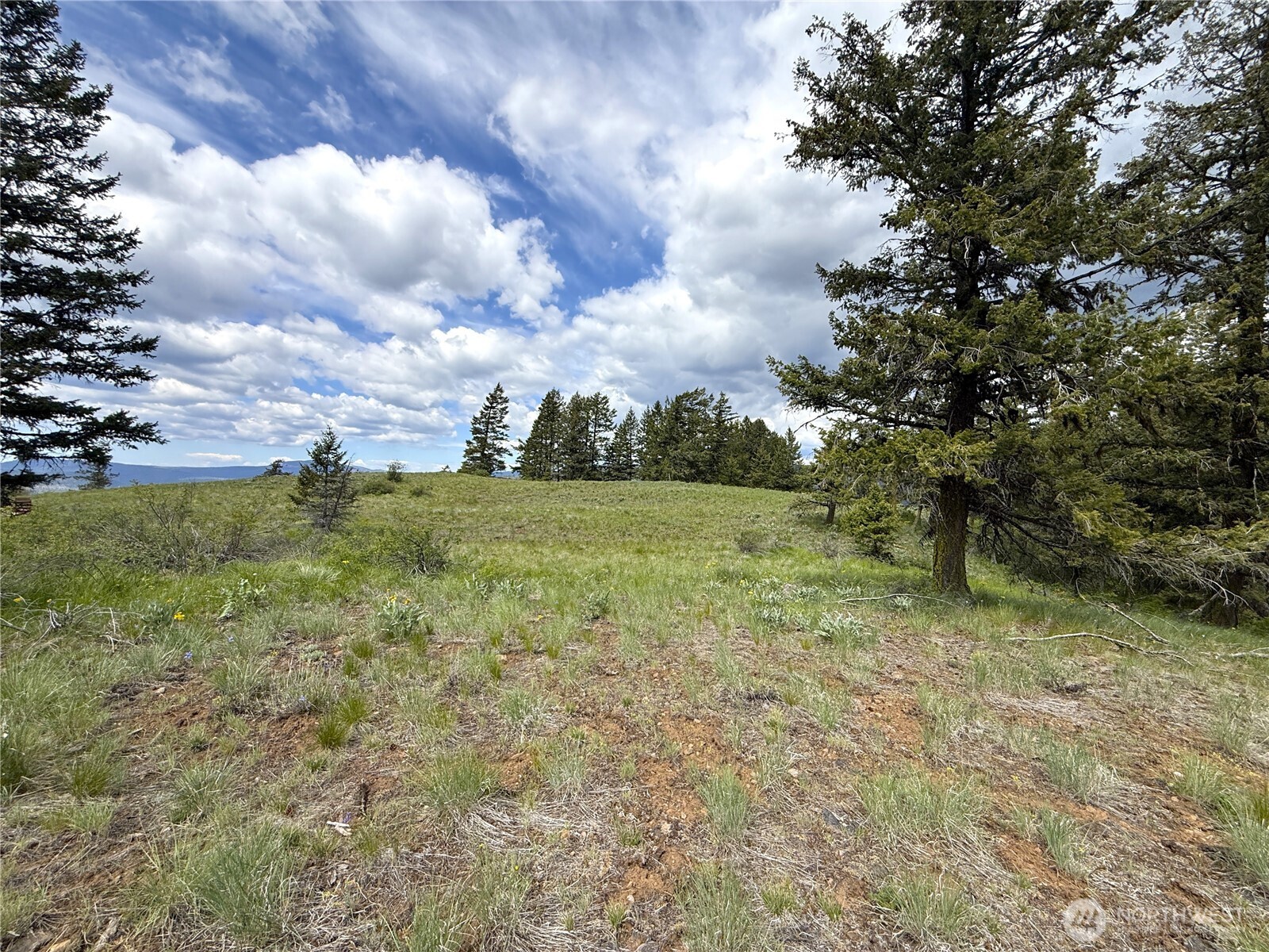 19 Union Ridge Spur Road Property Photo 20