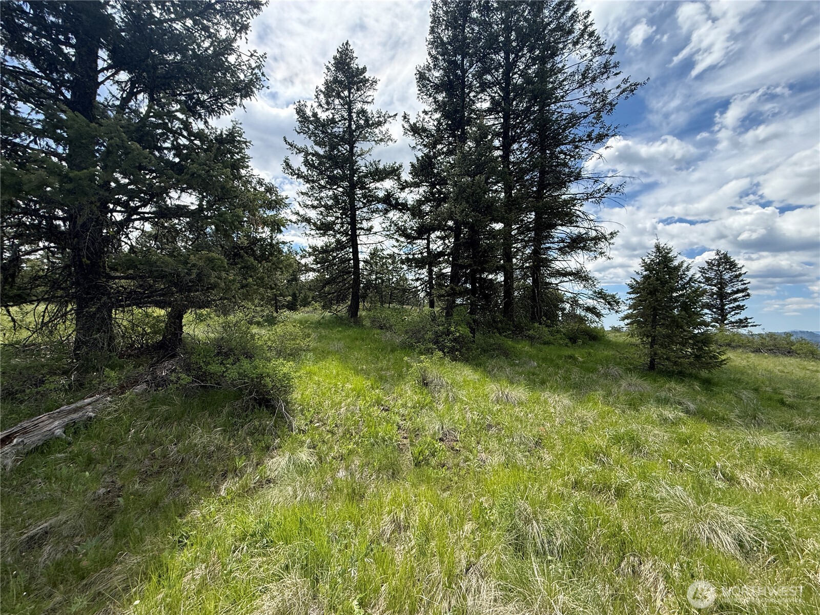 19 Union Ridge Spur Road Property Photo 26