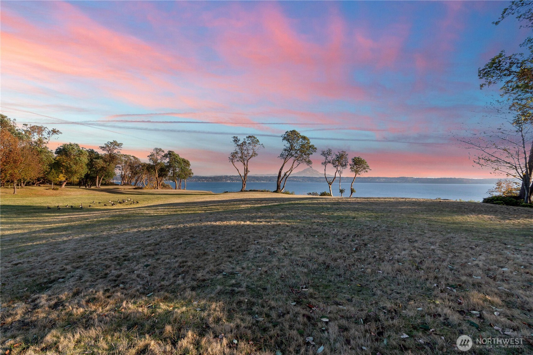 4205 Sw Point Robinson Road Property Photo 38