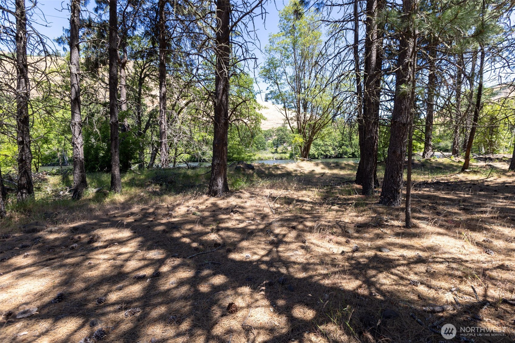 992 Highway 142 Property Photo 19