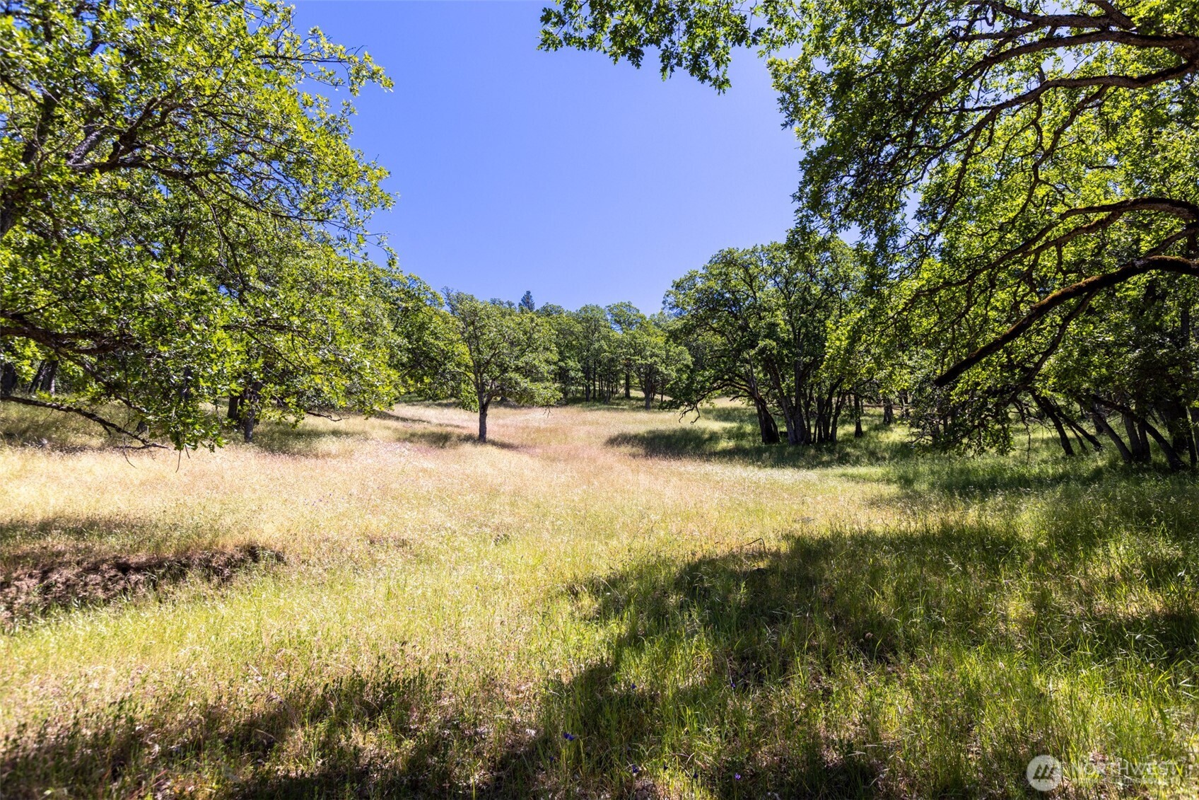 992 Highway 142 Property Photo 28