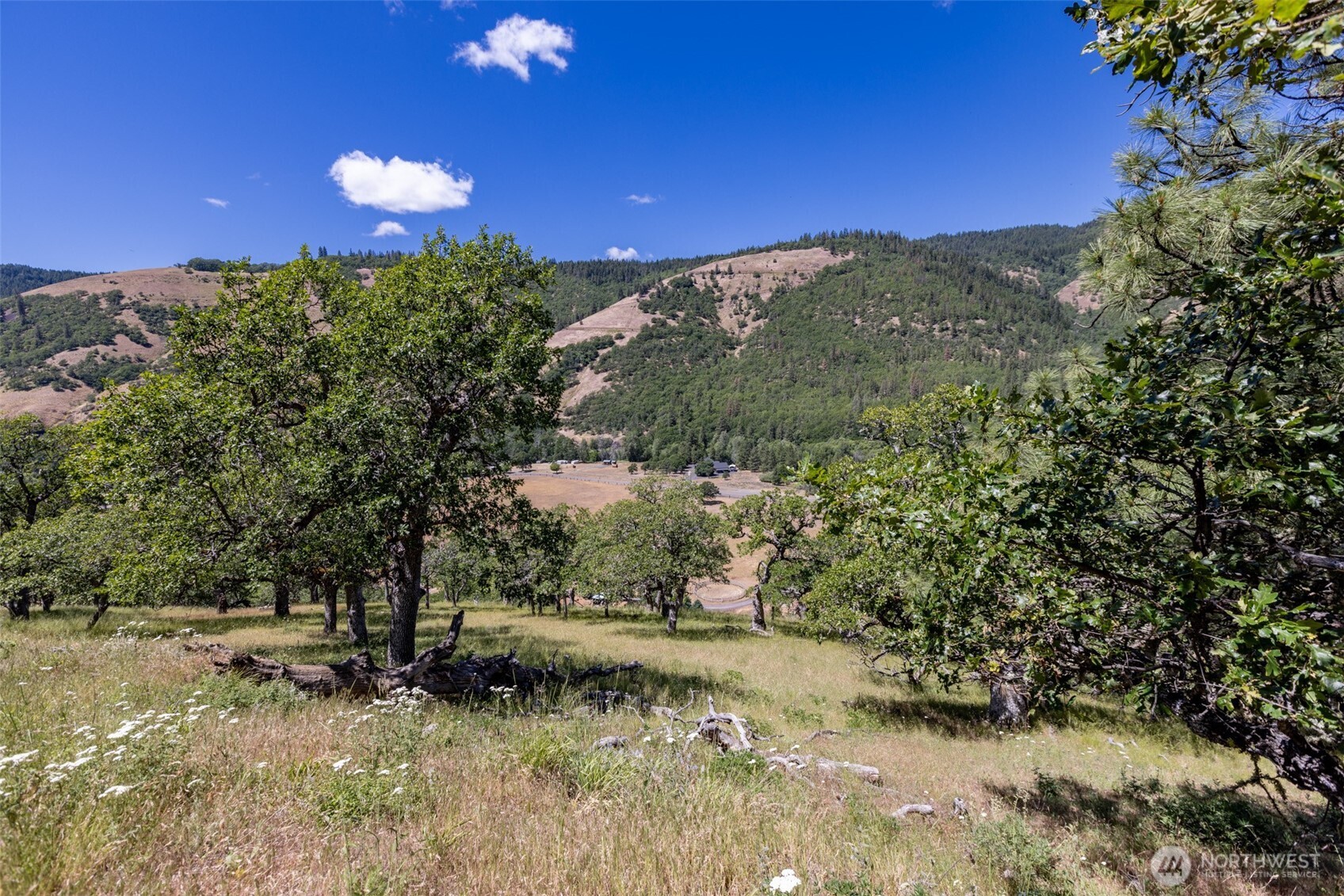 992 Highway 142 Property Photo 29