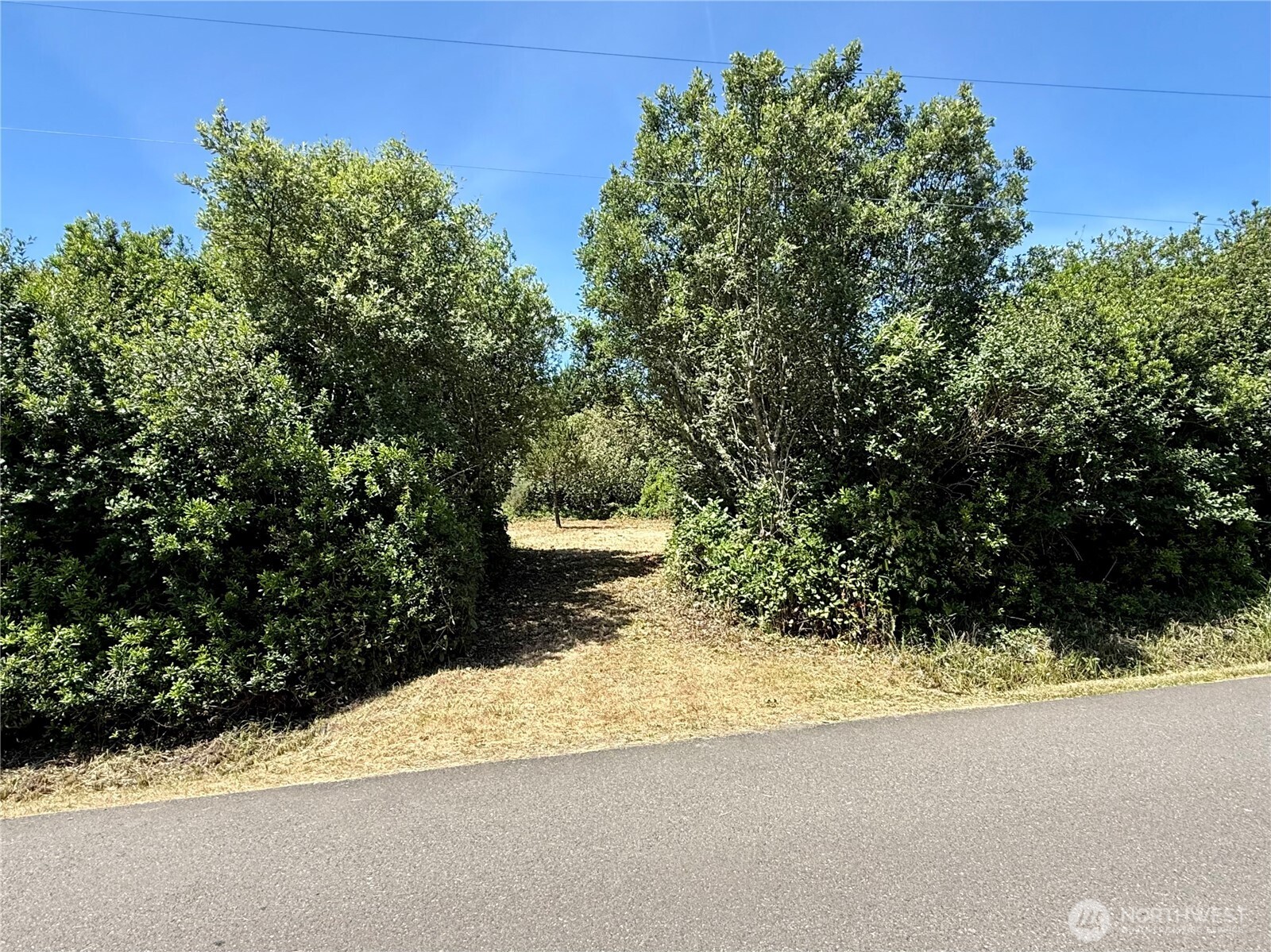 525 Sand Dune Avenue Property Photo 5