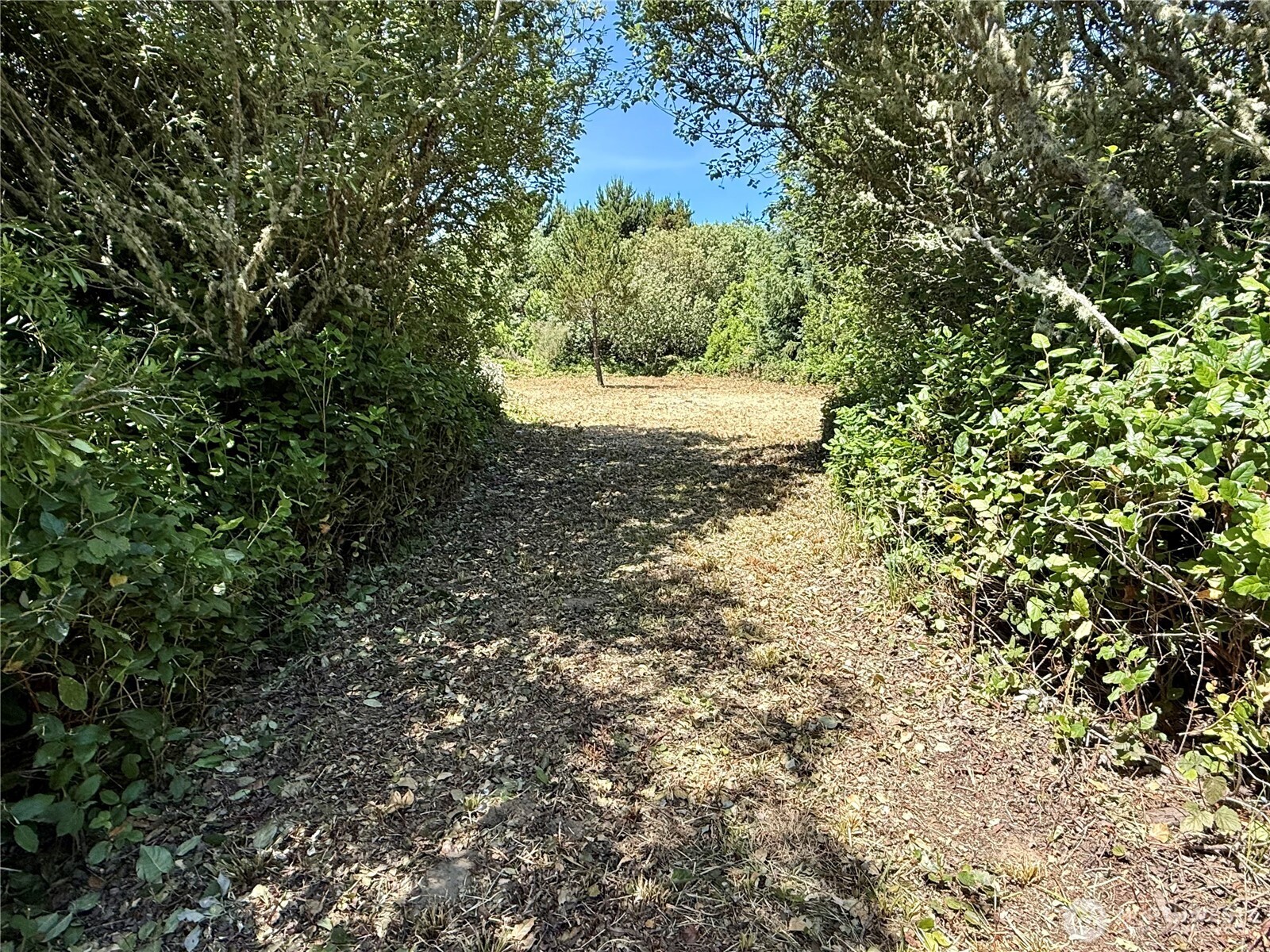 525 Sand Dune Avenue Property Photo 6