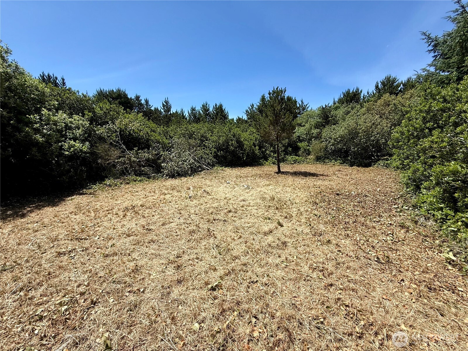 525 Sand Dune Avenue Property Photo 8