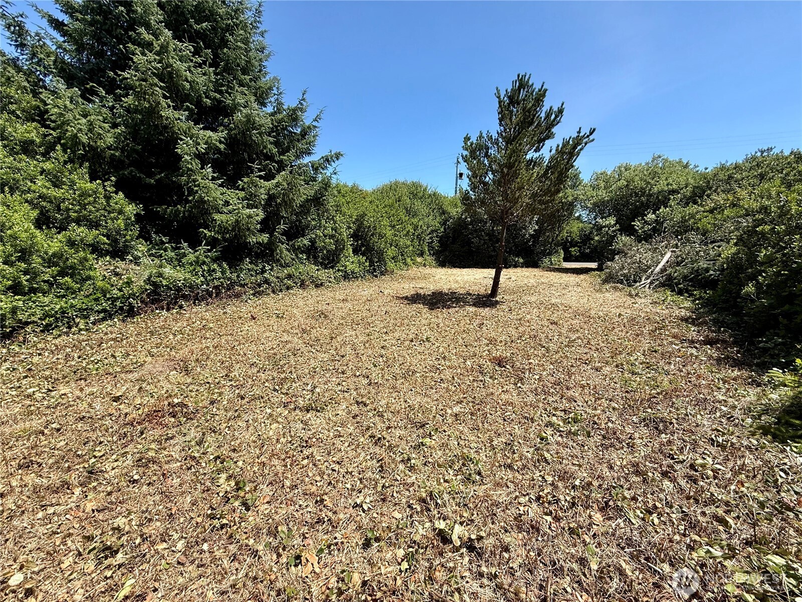 525 Sand Dune Avenue Property Photo 9