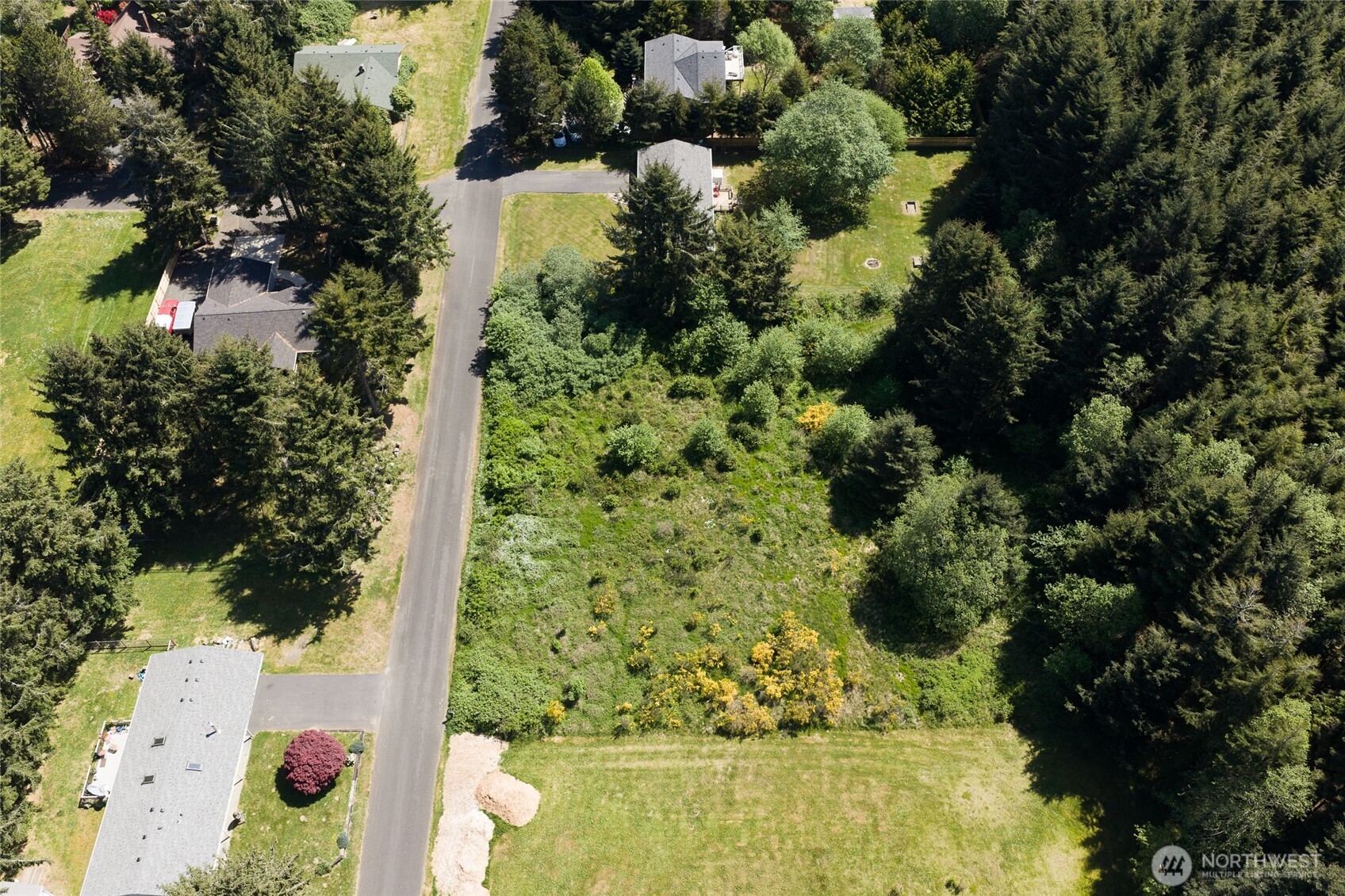 0 Shamrock Way Property Photo 3