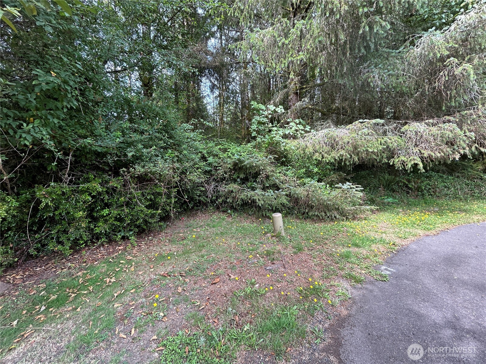 768 Sandpiper Court Property Photo 3