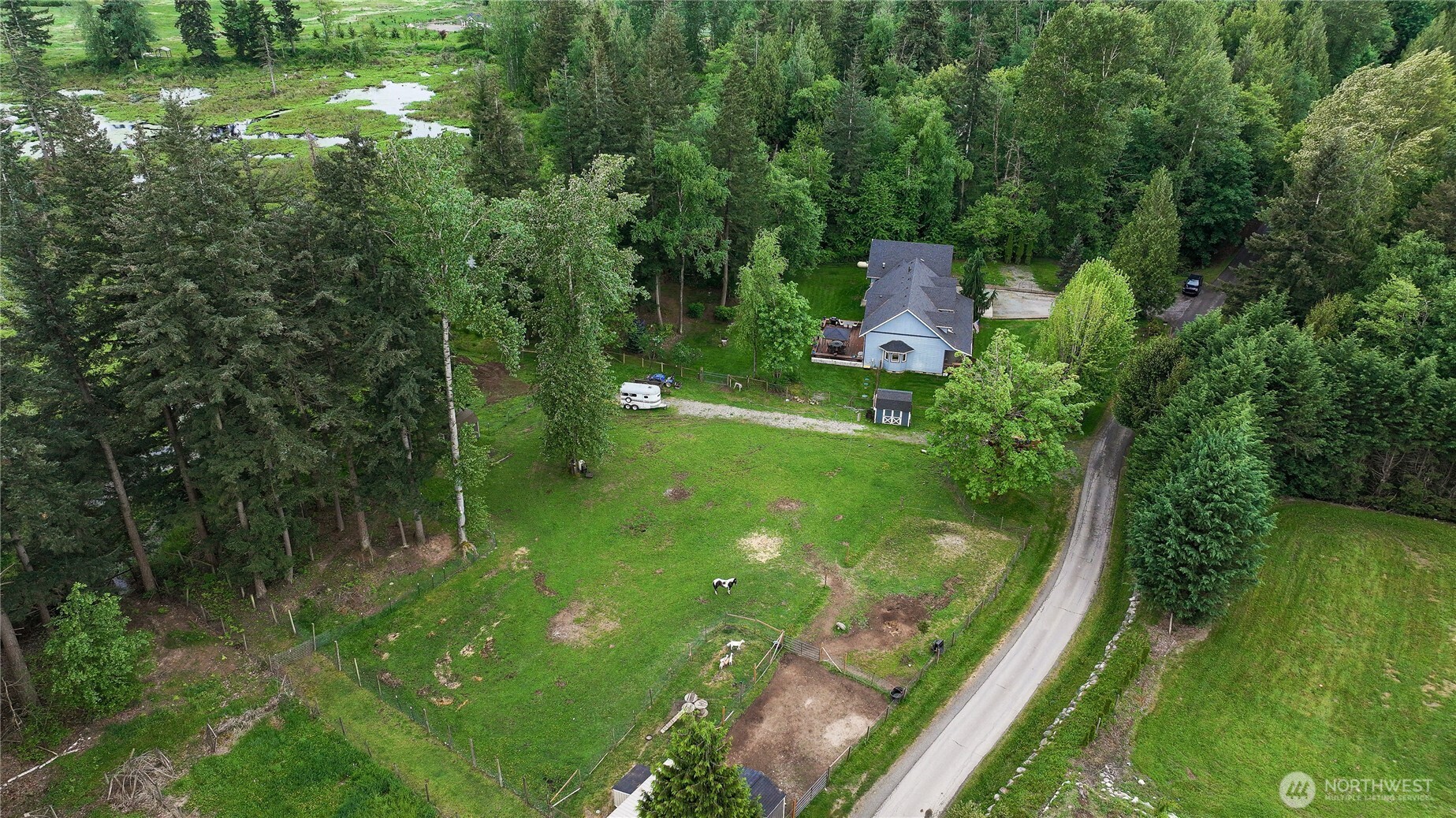9954 Peace Road Property Photo 4