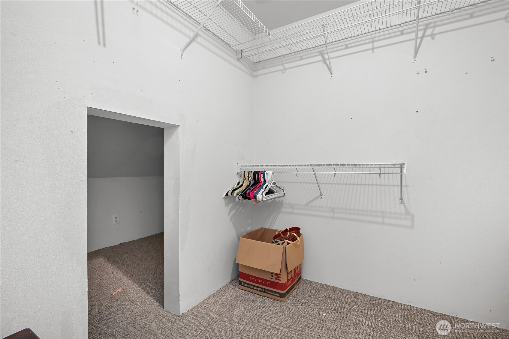 9954 Peace Road Property Photo 24