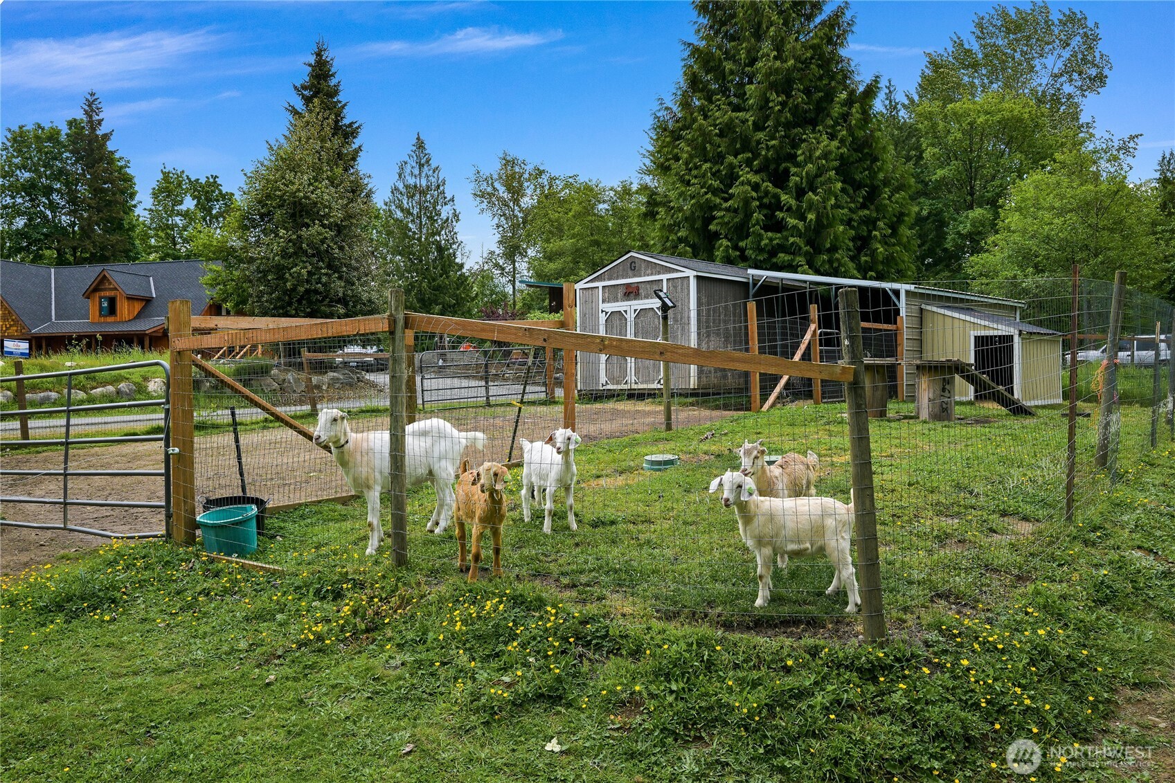 9954 Peace Road Property Photo 32